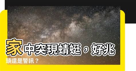 蜻蜓死在家裡|【家裡出現蜻蜓代表什麼】家中突現蜻蜓，好兆頭還是警訊？